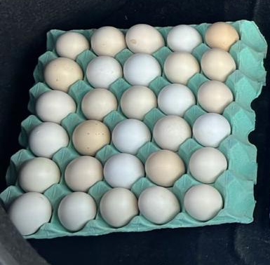 Free-Range Baladi Eggs – Pack of 30 - 2